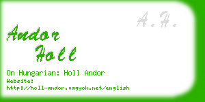 andor holl business card